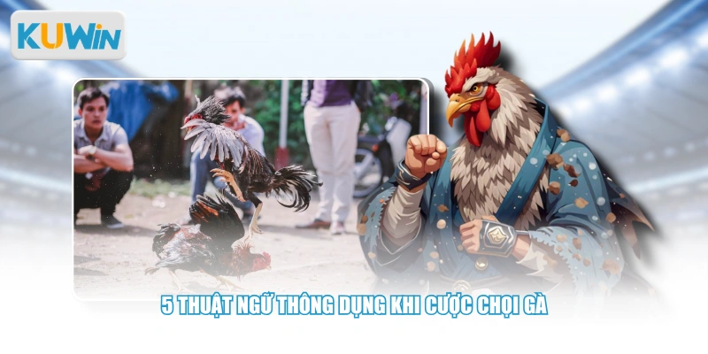 5 thuật ngữ thông dụng khi cược chọi gà