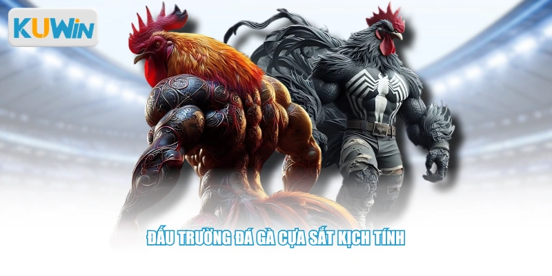 Đấu trường đá gà cựa sắt kịch tính